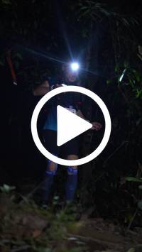 BIB:  <button type="button" onclick="openModal(27570473)" class="btn btn-primary btn-sm float-right" data-toggle="modal" data-target=".modal-high-quality">
                <i class="fa fa-download"></i> Download
                </button>